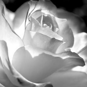 Meet your Posher, Kathleen